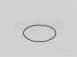 Spare Seal For 450mm Insp Chamber Sr450