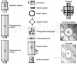 Douglas 217010 T/mix Shower Top Entry Bar
