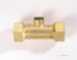 1/2 Inch Bsp Fi Dzr Double Check Valve 11101