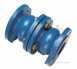 402b/402 Pn16 Ci Double Check Valve 100