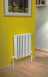 The Radiator Company Ekos 568x50 White